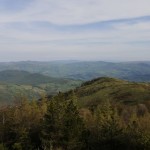 IMG-20230429-WA0019