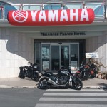 MUWA9424